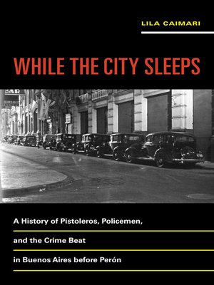 cover image of While the City Sleeps